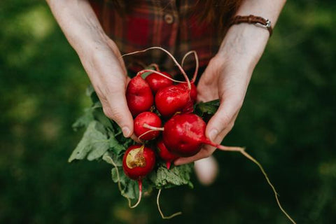 Radishes