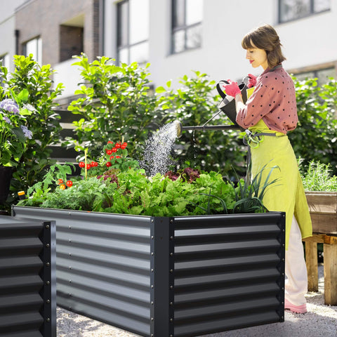 metal raised garden bed plant