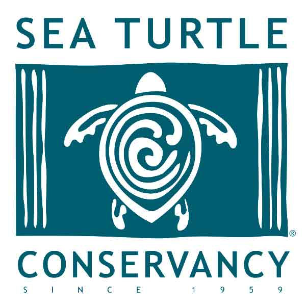 Sea Turtle Conservancy Donate