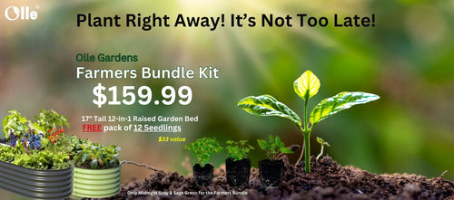 Olle Farmers Bundle