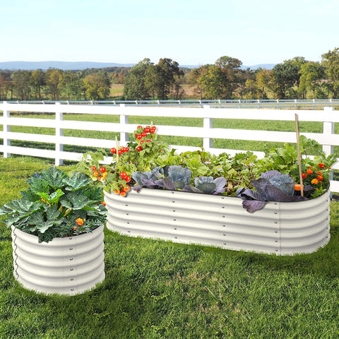 raised garden beds