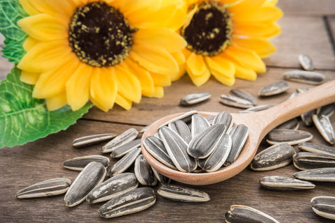 sunflower seeds