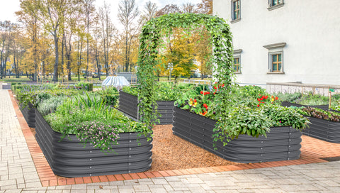 raised garden beds