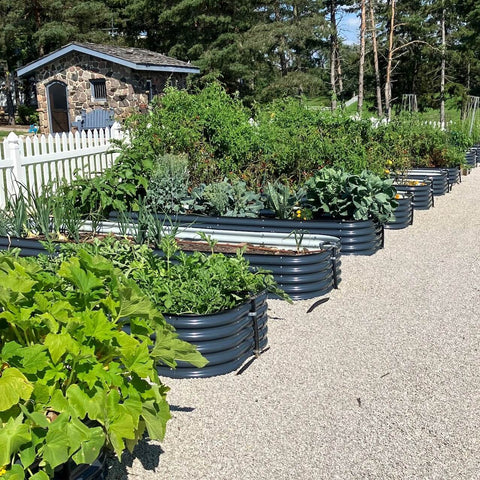 metal garden beds