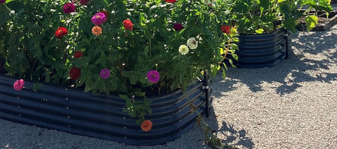 raised garden bed