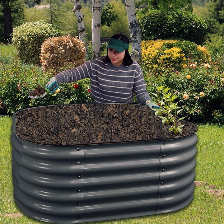 Raised Garden Beds growing food in the fall