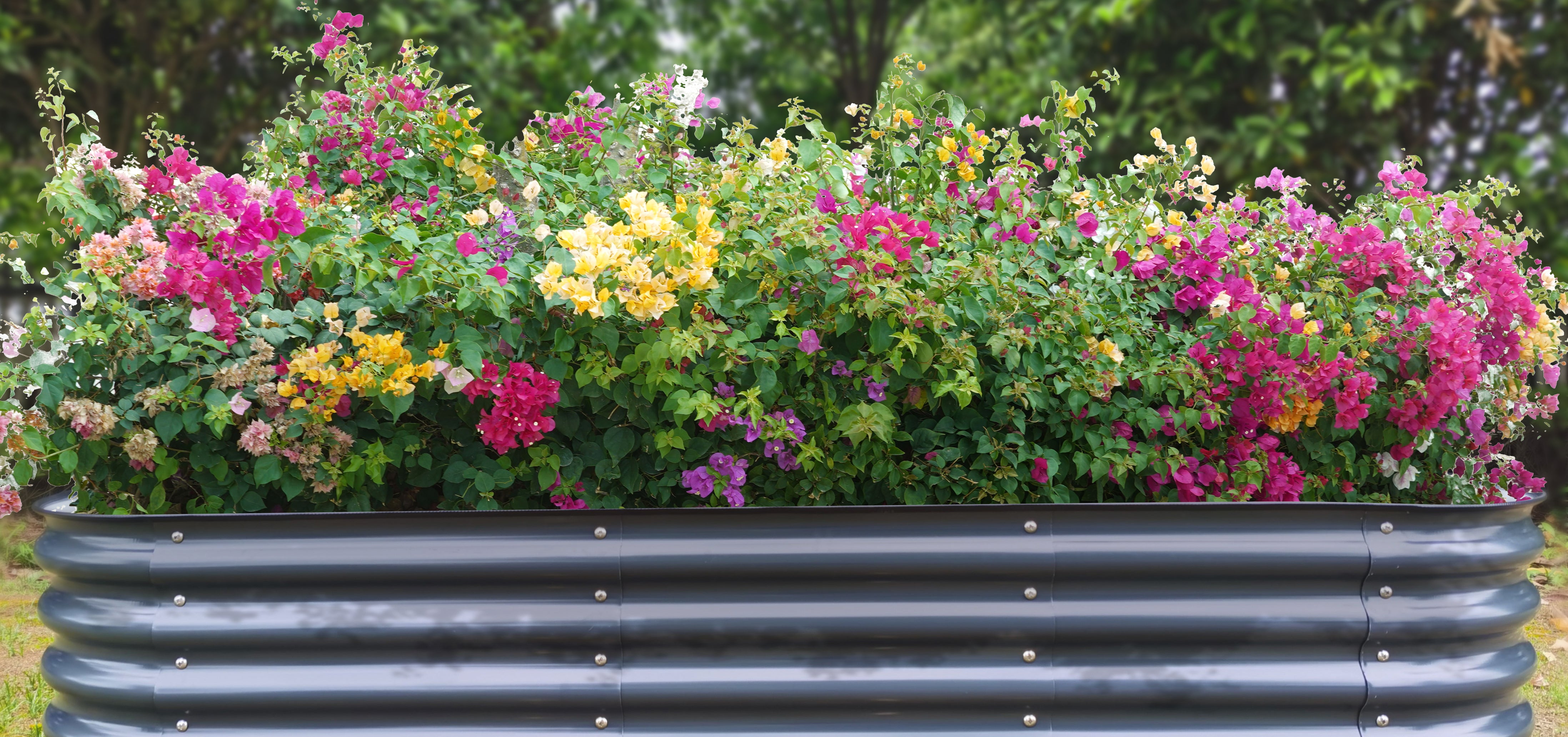 Olle Raised Garden Bed,Garden Boxes,Raised Planter Boxes,Diy Raised Garden Bed,Raised Flower Beds,Metal Garden Bed, Raised Vegetable Beds,Diy Garden Bed,Metal Raised Beds,Diy Raised Bed, Raised Herb Garden,Vegetable Garden Bed,Home Garden Beds