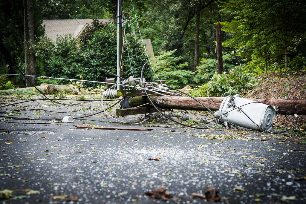 natural causes of power outages