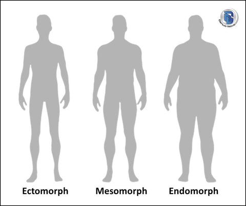 Body Size Guide