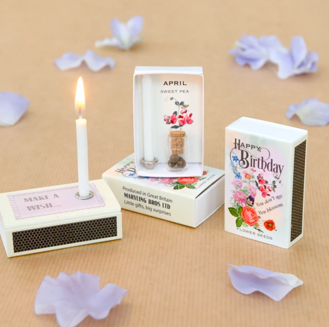 April Birthflower Seeds and Birthday Candle by Marvling Bros