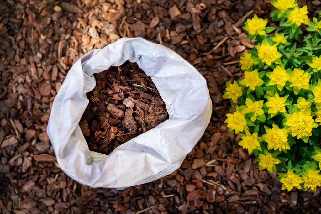 Mulch dämmt Unkrautwuchs ein und hilft das Wasser im Boden zu halten.