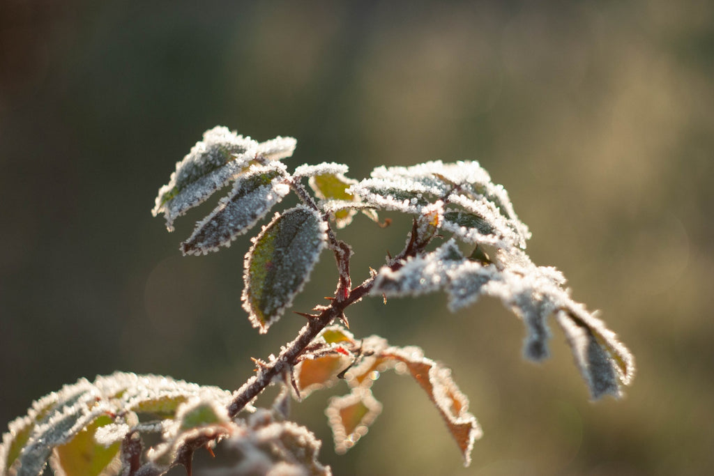 Winter - Was gilt es zu beachten?