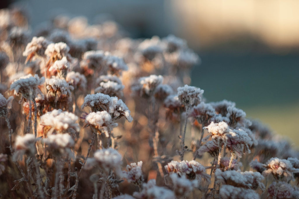 Winter - Was gilt es zu beachten?