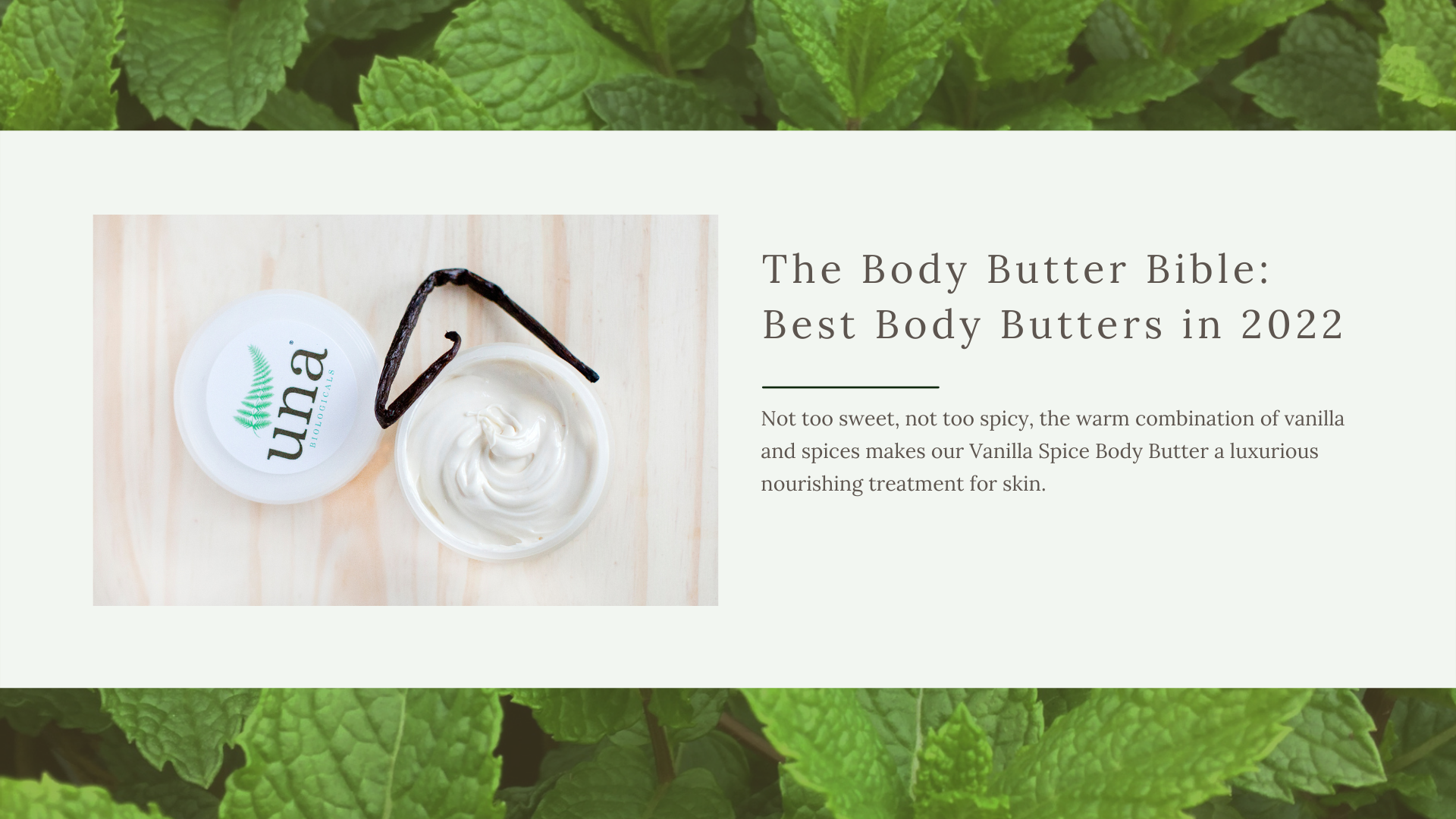 Organic Body Butter Cream in Vanilla Spice