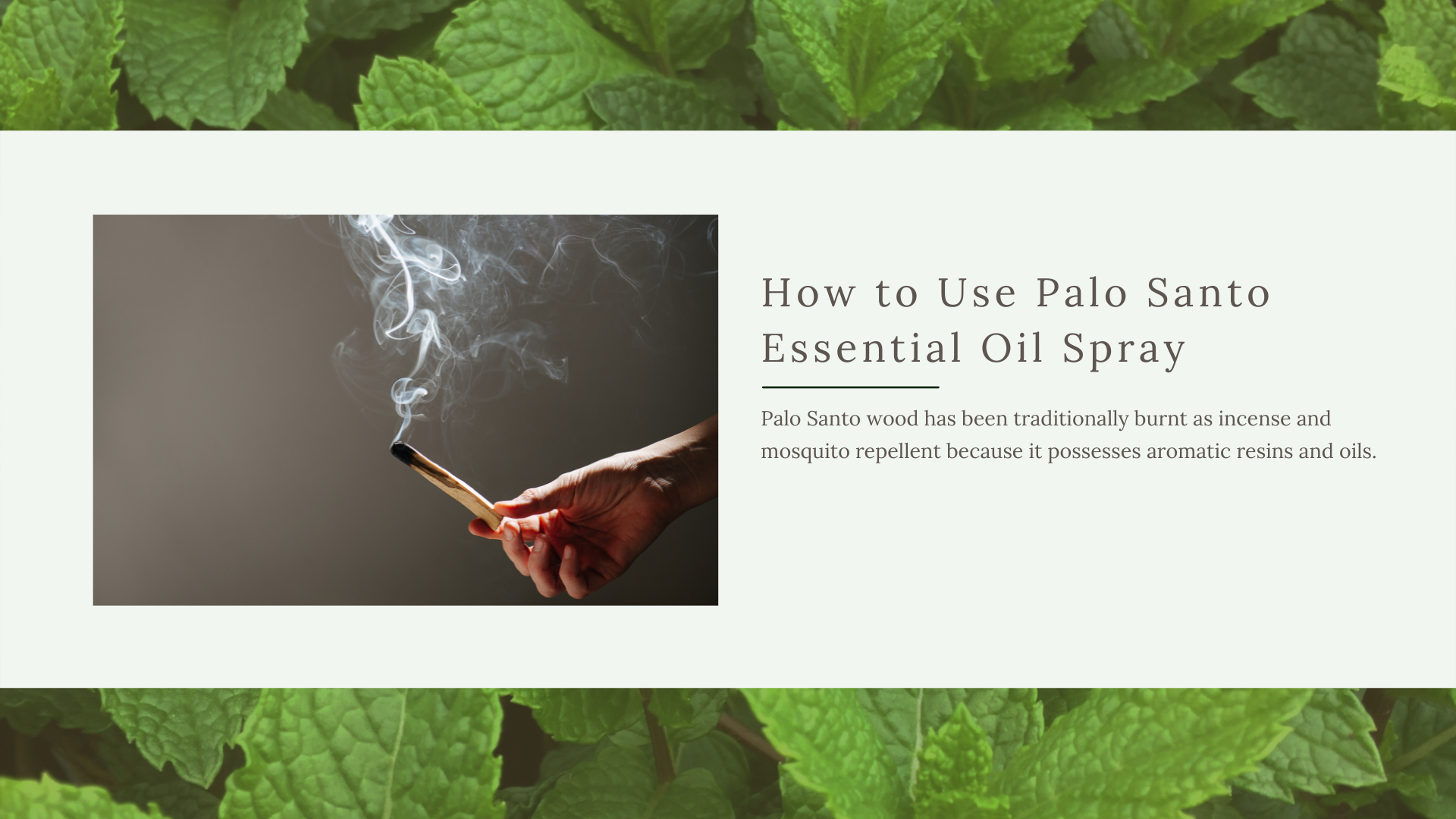 How to Use Palo Santo Essential Oil Spray – Una Biologicals®
