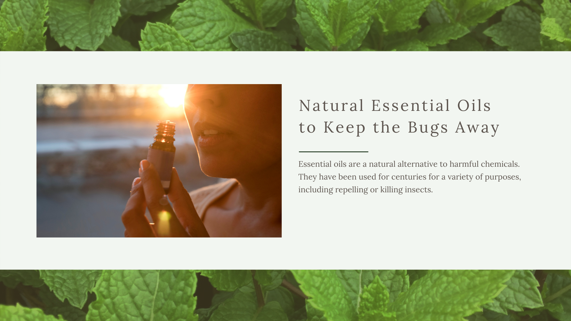 Essential Oils the help repel insects