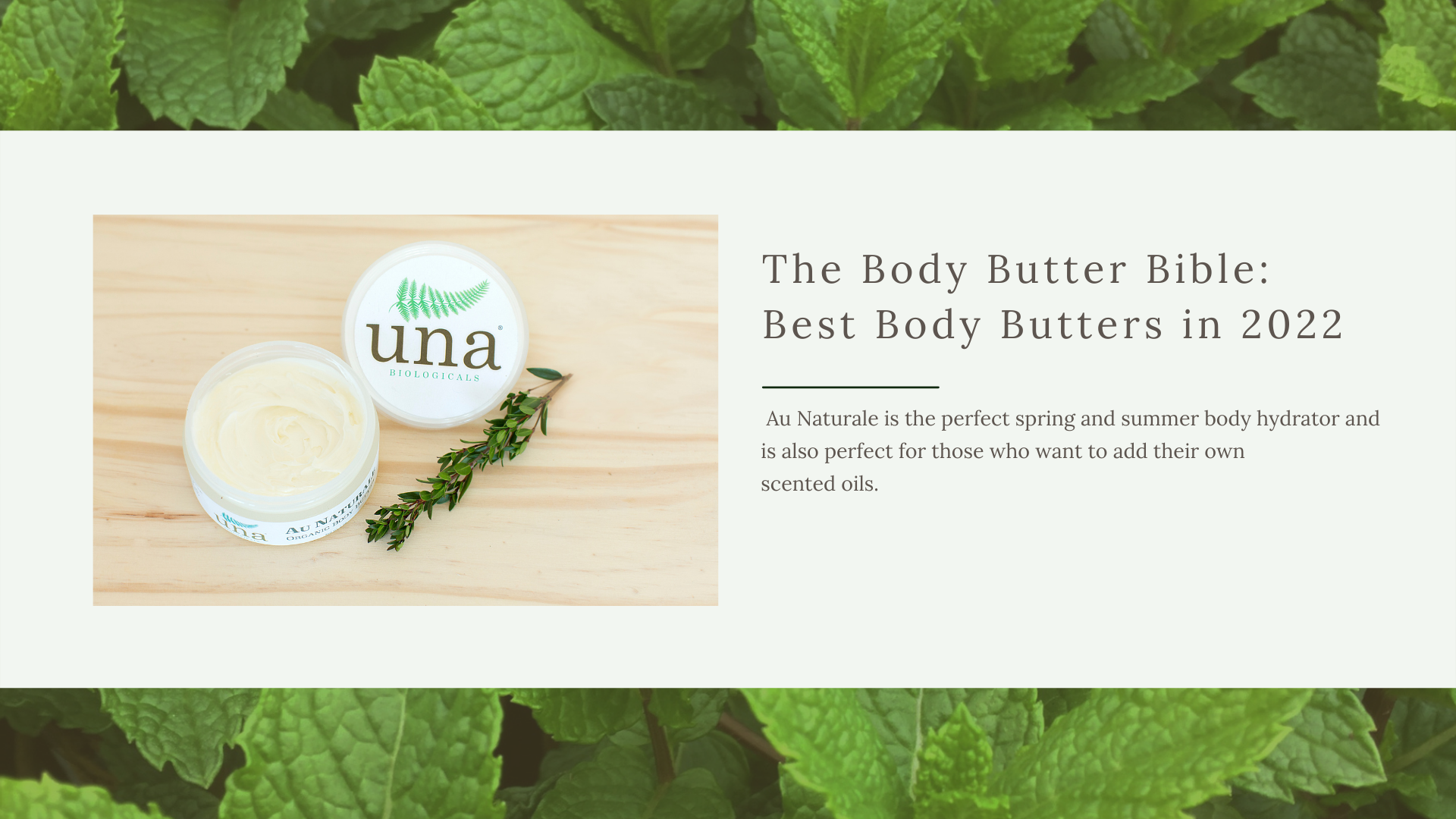 Au Natural Fragrance Free Body Butter by Una Biologicals