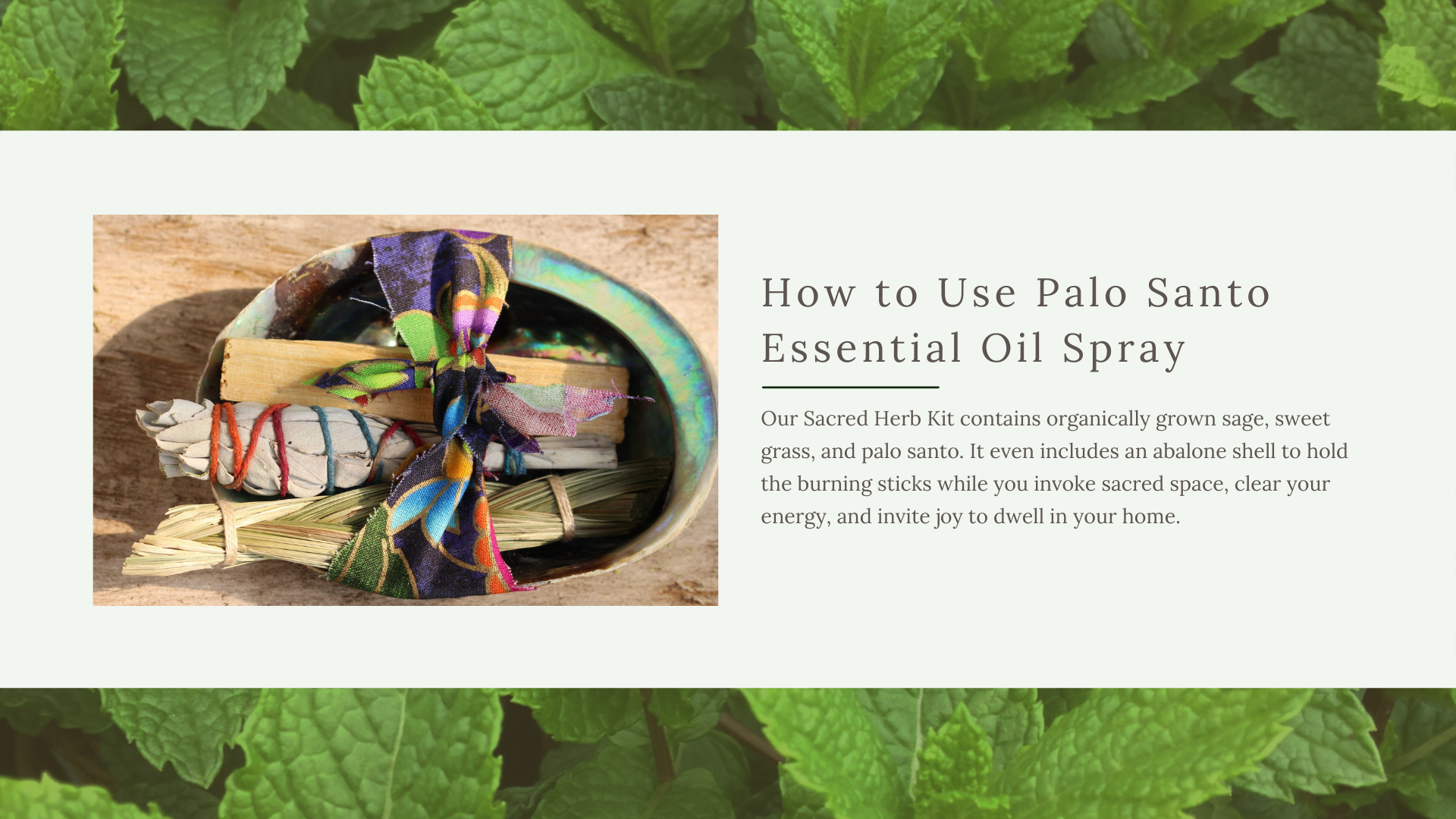 palo santo essential oil spiritual uses - Una Biologicals Sacred Herbs Kit