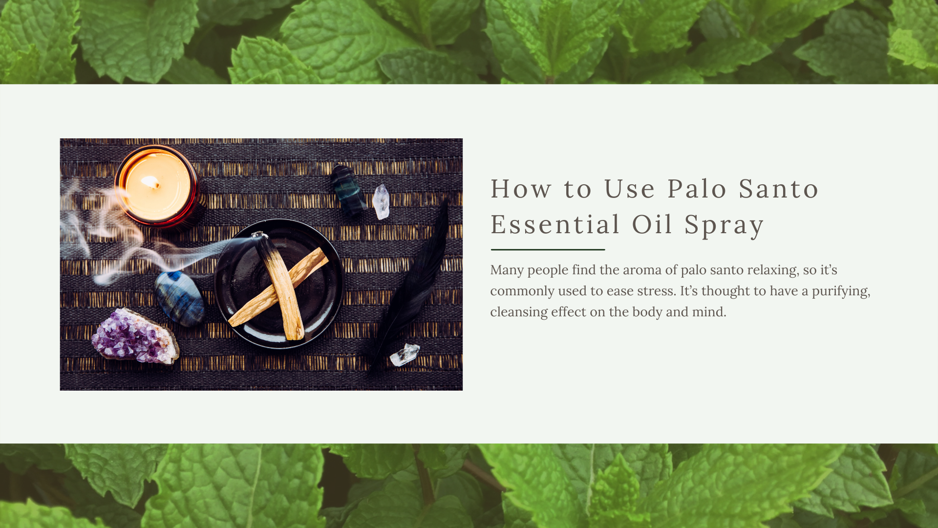  What Is Palo Santo, and How Is It Used Medicinally