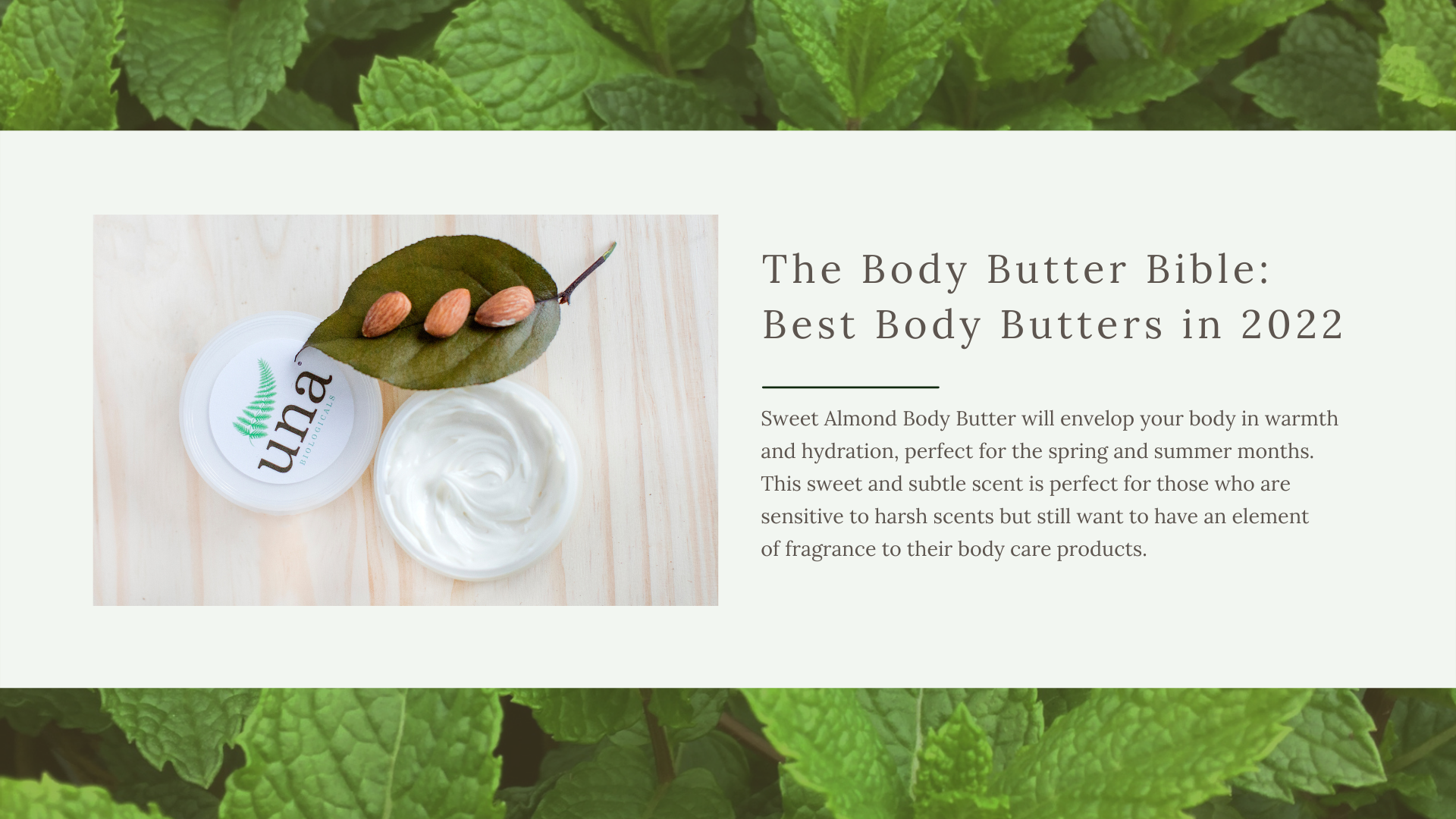 Best Body Butter for Dry Skin - Una Biologicals Almond Body Butter