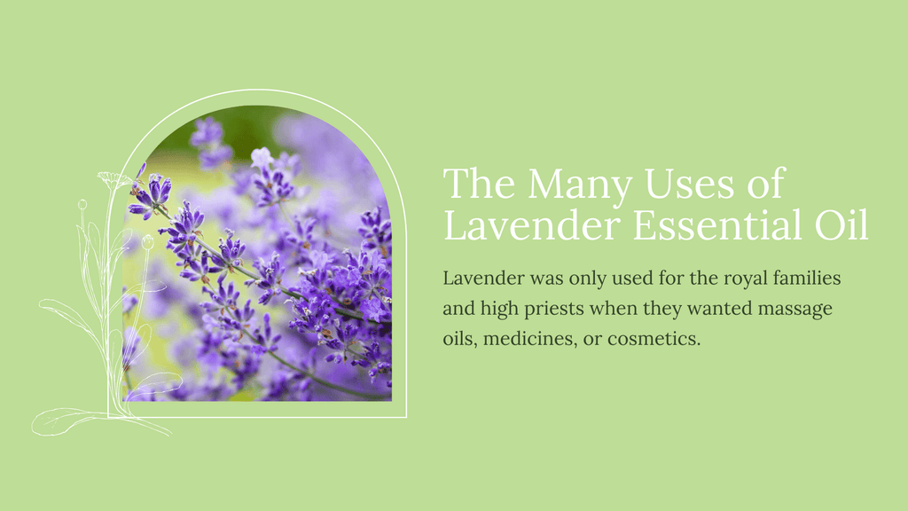 Lavender was only used for the royal families and high priests