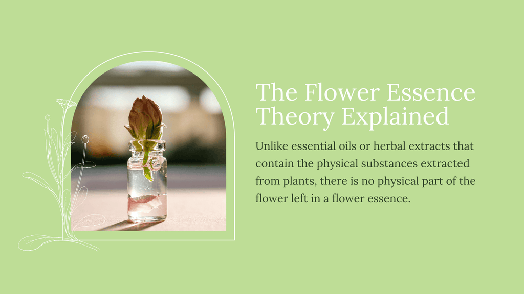 there is no physical part of the flower left in a flower essence