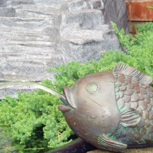 Koolscapes Fish Spitter Water Feature Backyard Pond Accent,