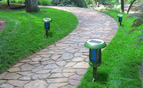 A stone pathway with green grass next to it is visible. Beside the path alternating from right to left are three mosquito traps staked into the ground