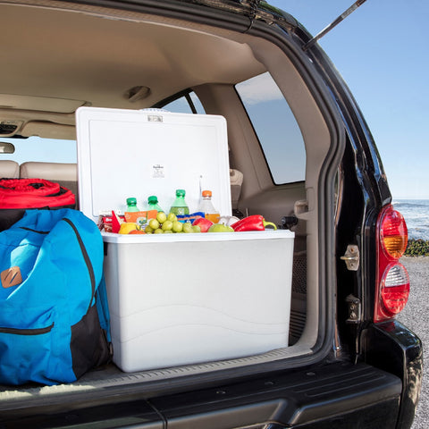 A white cooler sits in the back of a black van. The trunk door of the van is open revealing the cooler. In the cooler bottles of soda, chocolate milk, grapes, apples, peppers, and packaged food. Beside the cooler is a blue backpack.