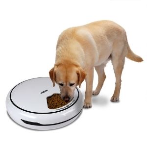 Lentek 5 Meal Automatic Pet Feeder with Voice Message,