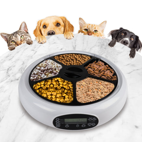 Two cats and two dogs of different breeds and sizes have their heads peaking over a white counter to look at a pet feeder. In the pet feeder is 5 compartments with different types of wet and dry pet food inside it.