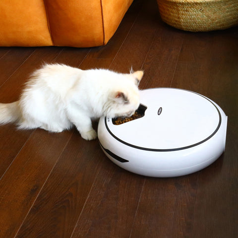 A white cat eating its food from a white pet dish. The dish and the cat is on a wooden floor.