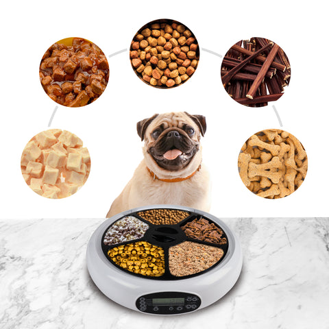 A pug is sitting in front of a white pet dish on top of a white counter. The pet dish has five compartments filled with pet food. Above the pug's head are circular pictures showing the different types of wet and dry food that can be put into the dish.