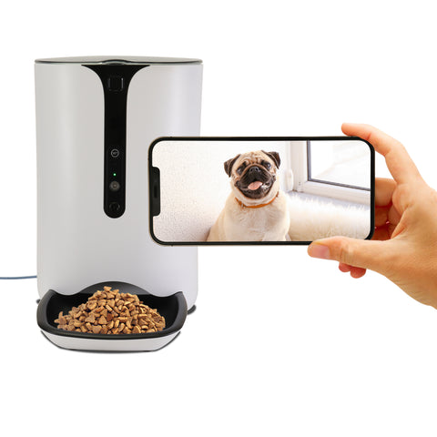 A hand holding a phone with an image of a pug sitting down on it. Behind the hand with the phone is the white pet feeder with food in it.