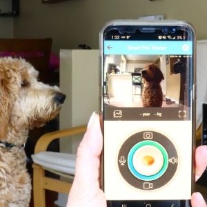 Lentek Smart Pet Treat Tosser with HD Camera, 2-Way Audio