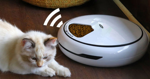 Picture of a fluffy white kitten lying on a dark brown wooden floor beside the Lentek programmable 5 meal pet dish with an overlaid 'sound wave' graphic indicating a voice coming from the speaker