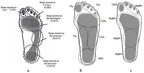 redistribution-of-the-weight-of-the-body-on-the-foot