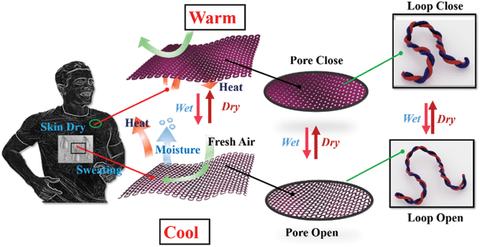 thermoregulation-of-wool