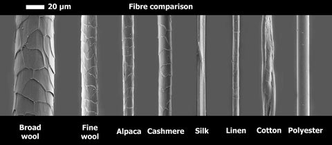 the-comparison-of-diameters-of-different-fibers