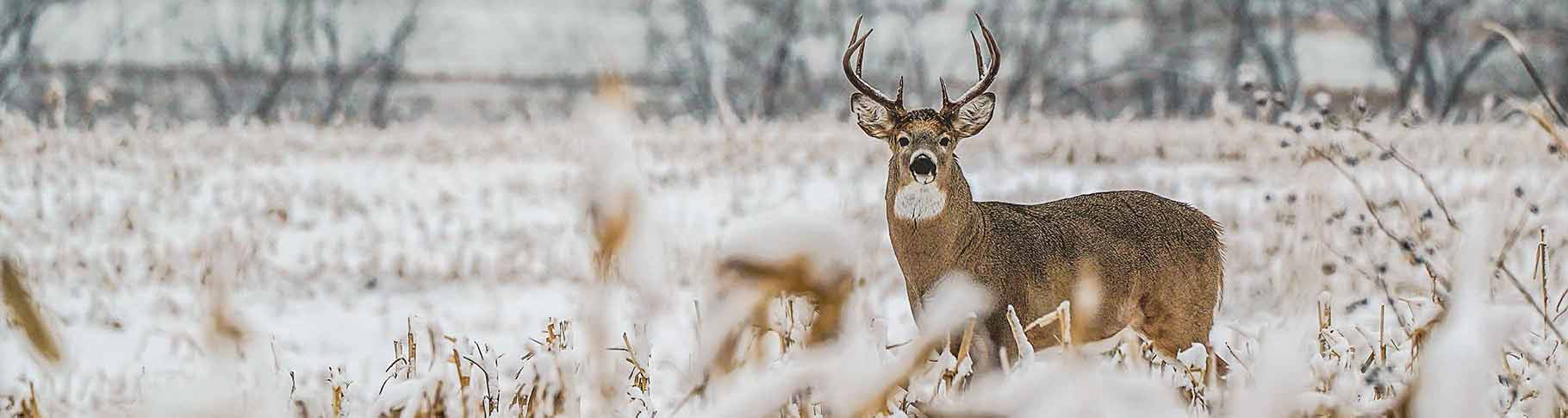 Cold-Weather Gear for Late-Season Luxury - Bowhunter