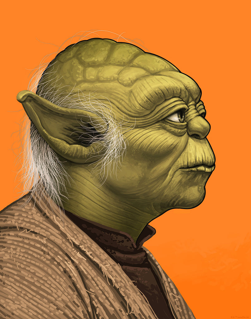 Obi-Wan Kenobi, Yoda & Tie Fighter Pilot Portraits by Mike Mitchell ar –  Mondo