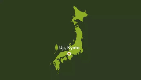 Terroir de Uji - Chá Verde Biológico Japonês Aromandise