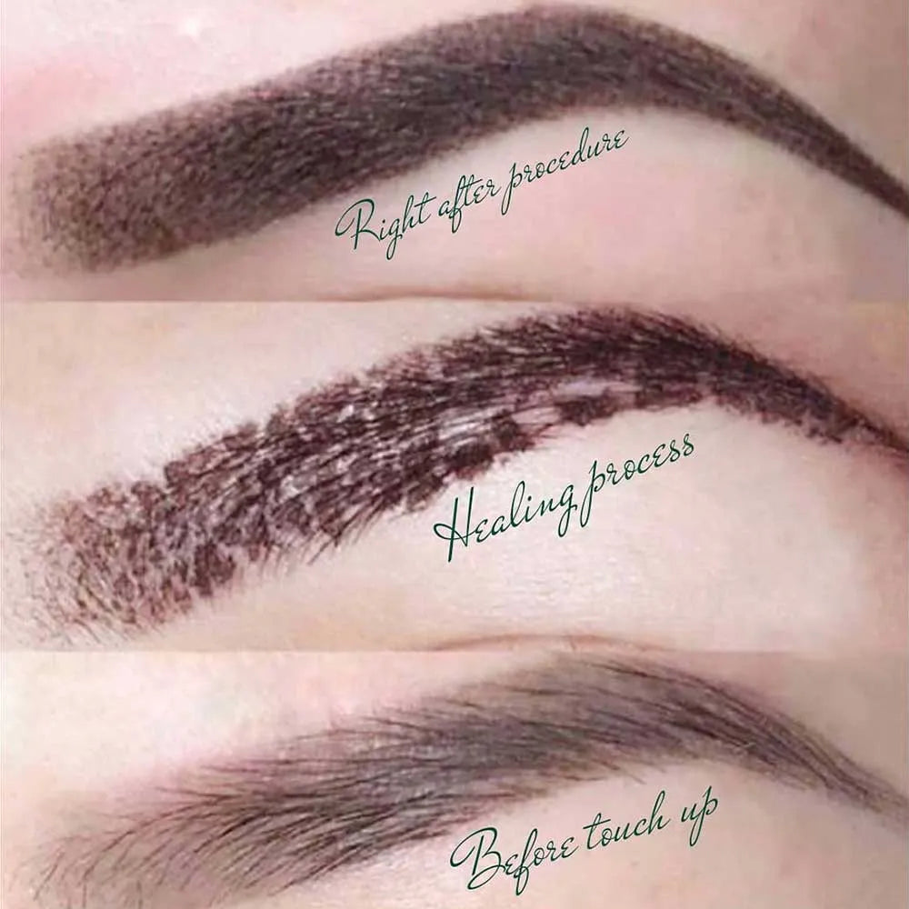 Eyebrow Tattoo  Rockport Maine  Chasse Permanent Makeup