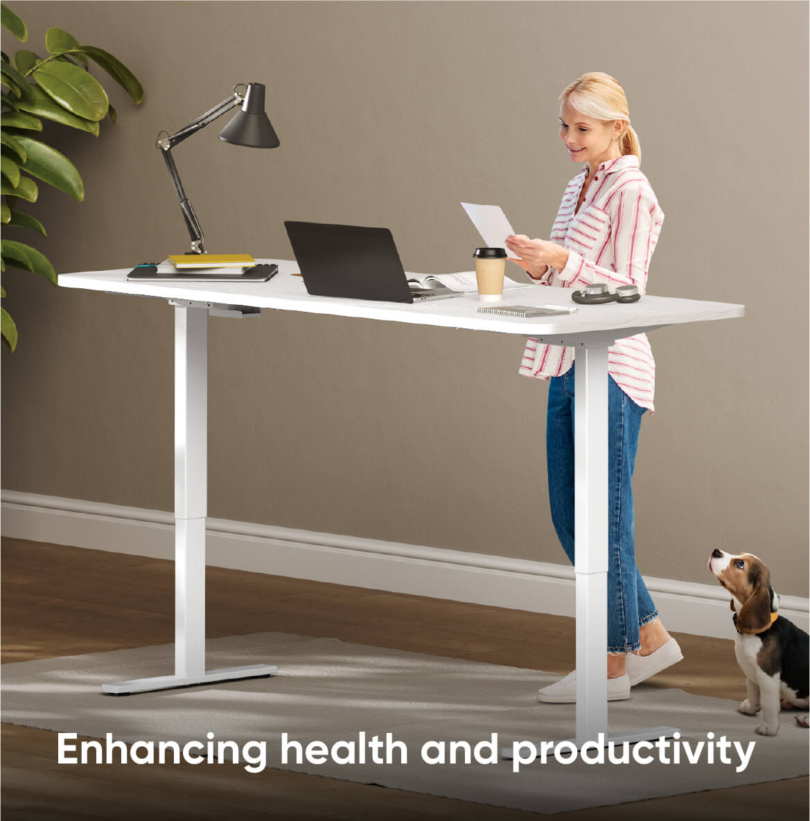 Amélioration de la santé et de la productivité