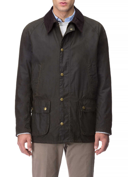 barbour ashby verde