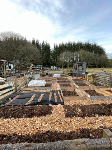 Forest Allotment at An Taigh Dubh