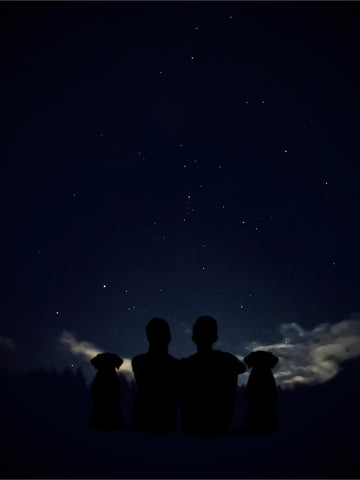 Foggy Bummers- Silhouette of a couple with two dogs looking at starry night sky