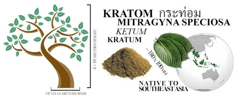 What is Kratom ?