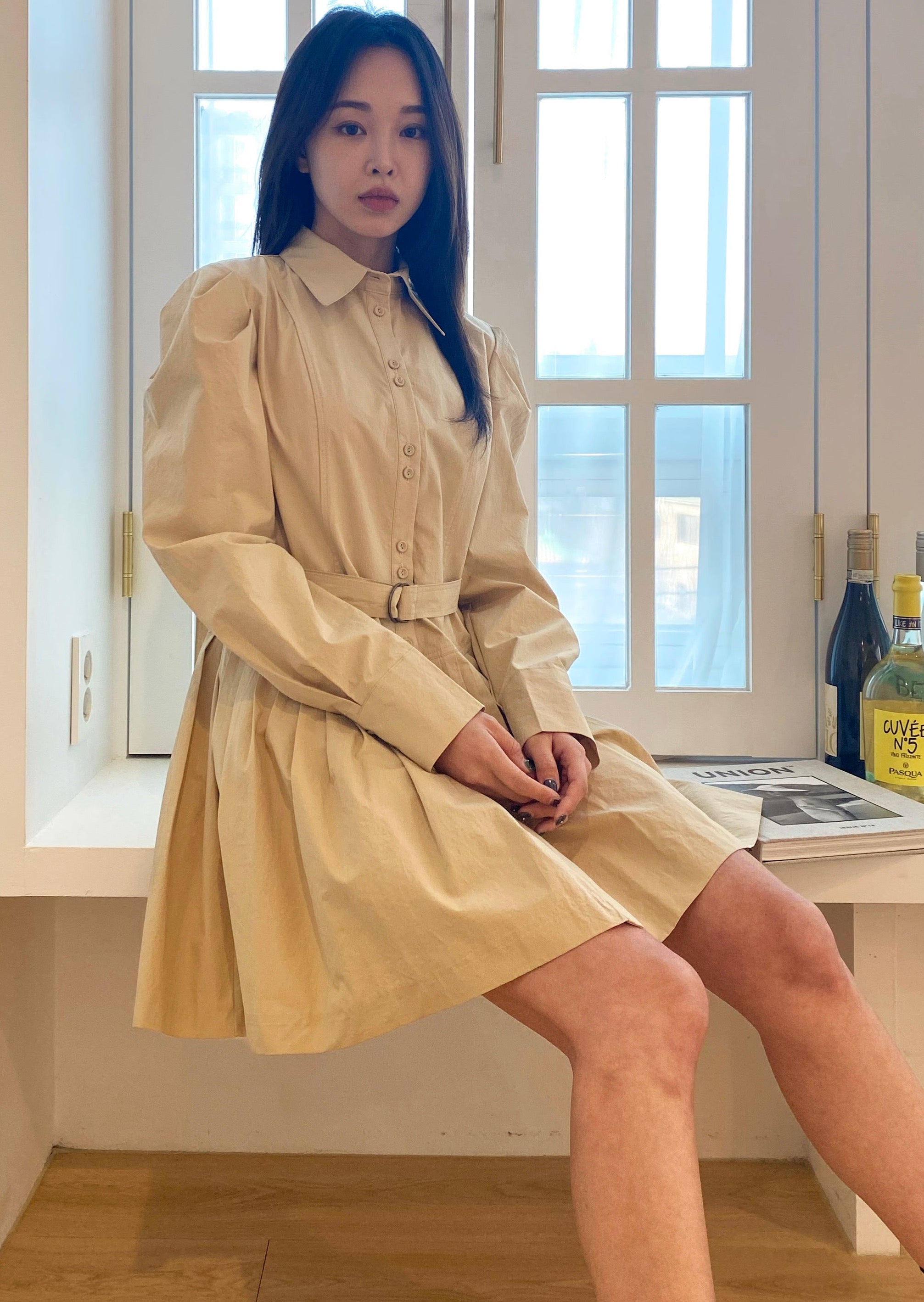 herlipto○pleated open shirt dress○M | www.shramjeevijournalist.com