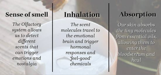 how aromatherapy works